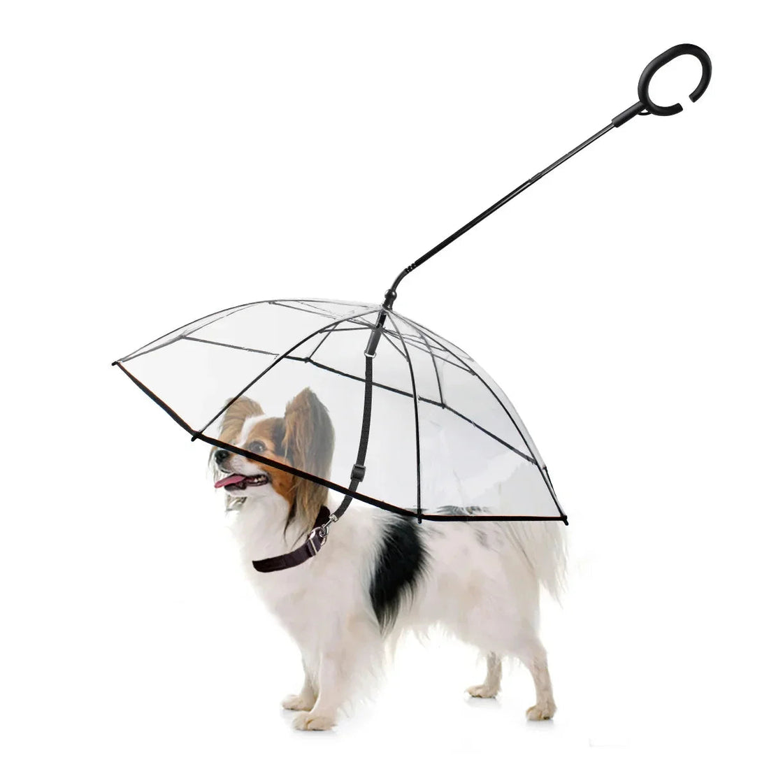 Clear dog umbrella with built-in leash