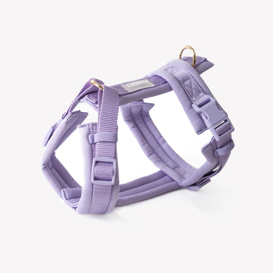 Padded comfort dog harness in lavender