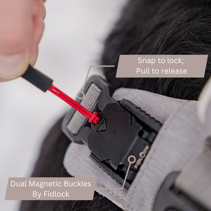 Magnetic no-pull dog harness with handle