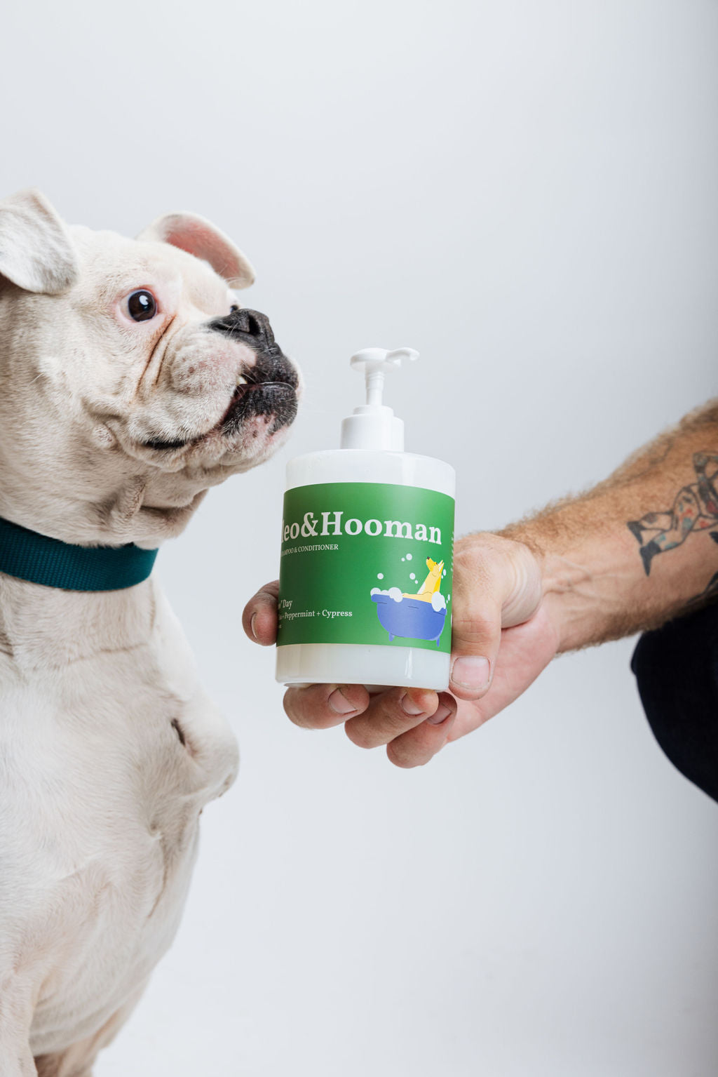 Spaw Day dog shampoo and conditioner set