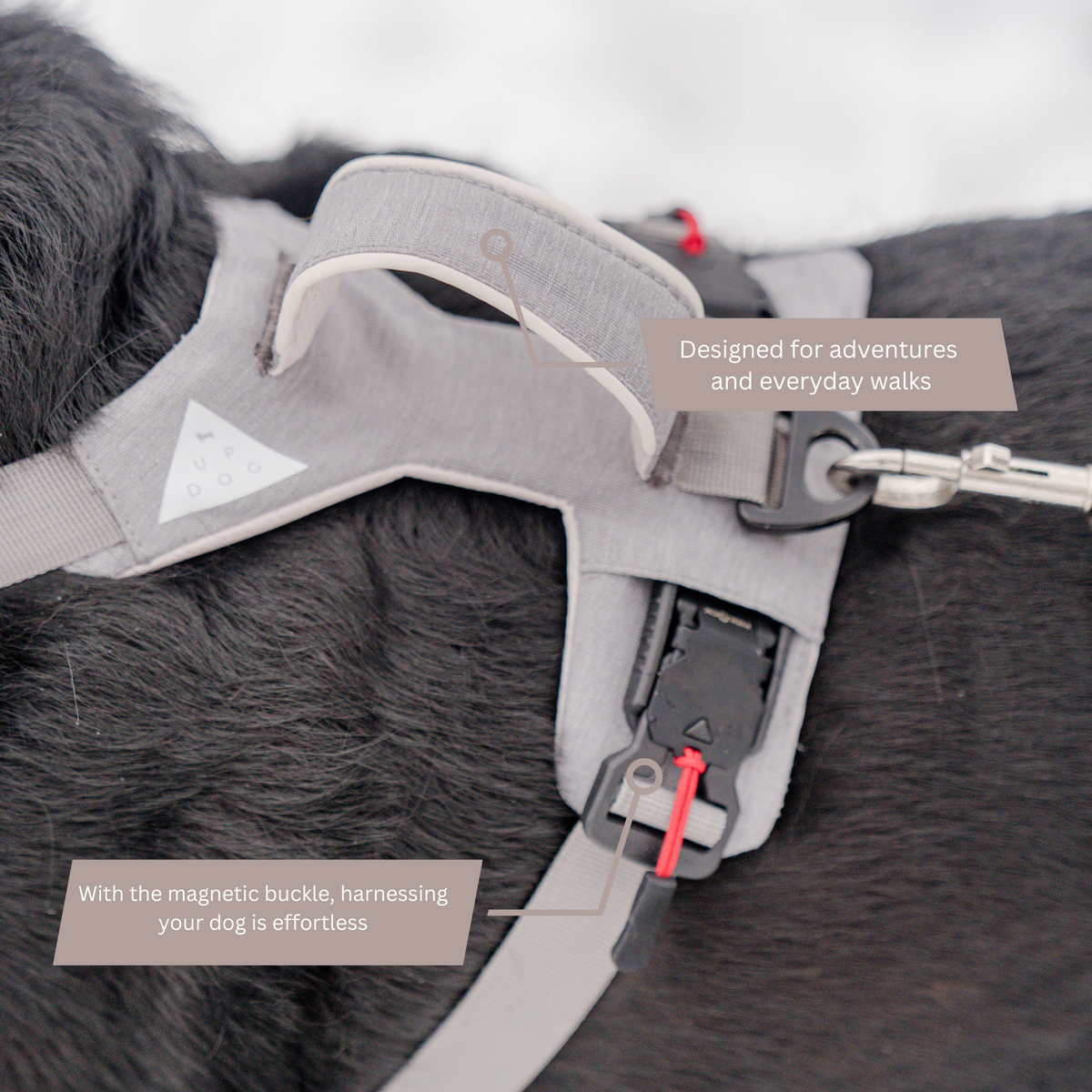 Magnetic no-pull dog harness with handle