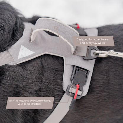 Magnetic no-pull dog harness with handle