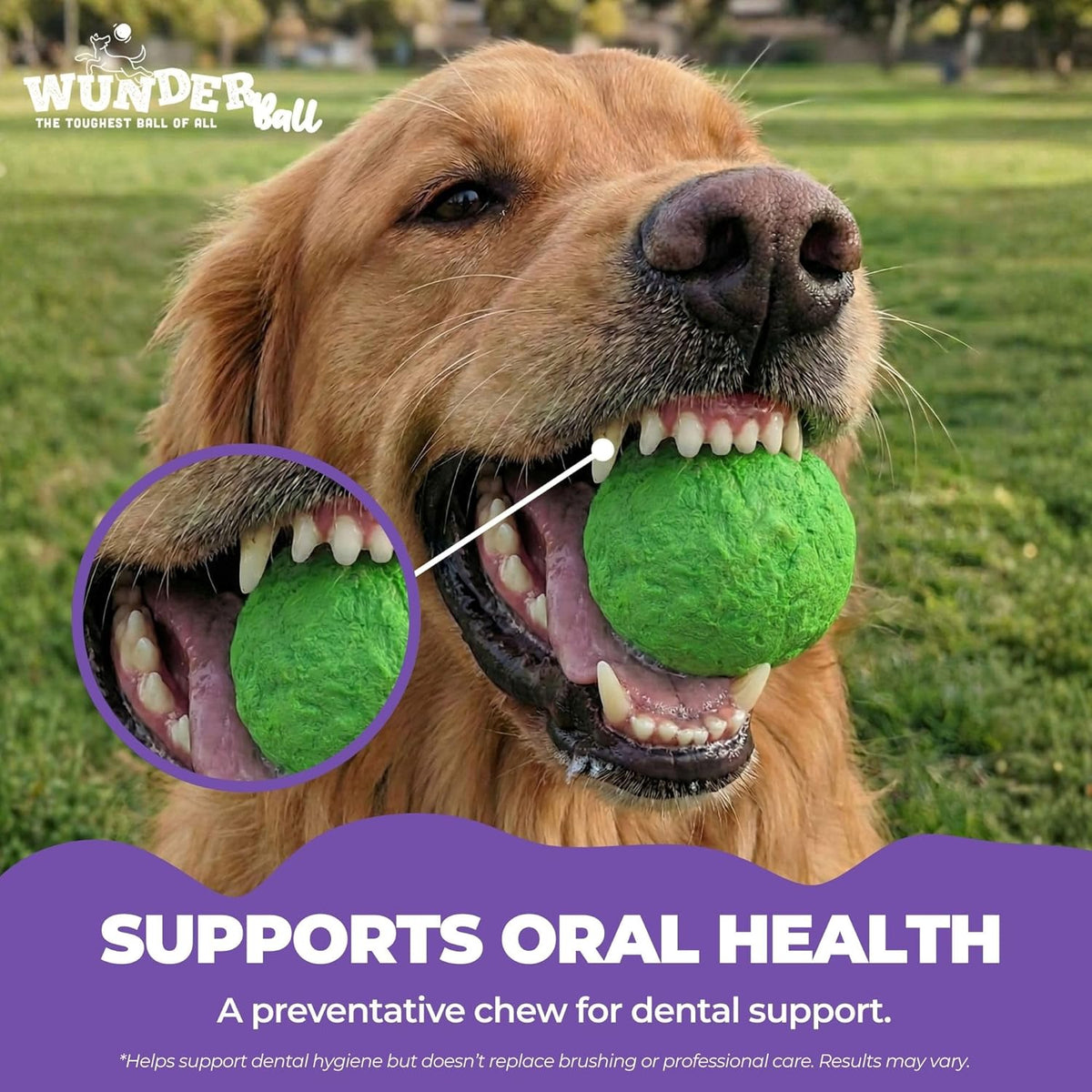 WUNDERball natural rubber fetch ball for dogs