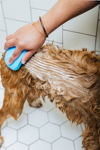 Spaw Day dog shampoo and conditioner set