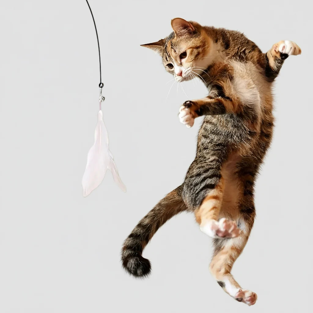 Feather wand cat teaser toy