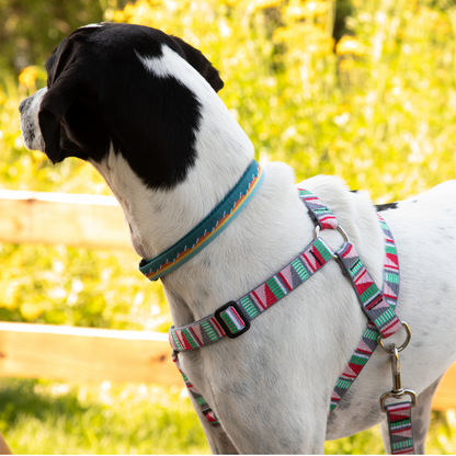 Escape-proof dog harness