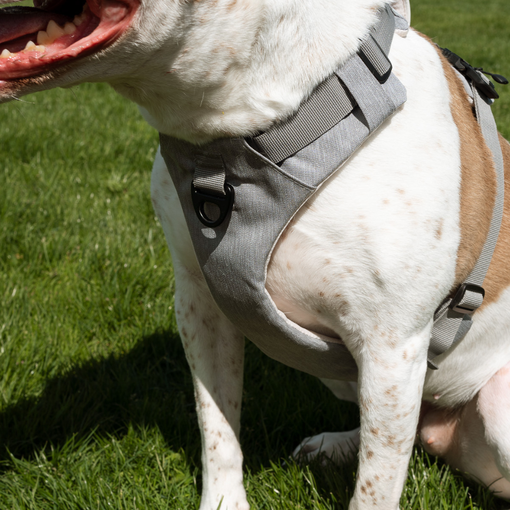 Magnetic no-pull dog harness with handle