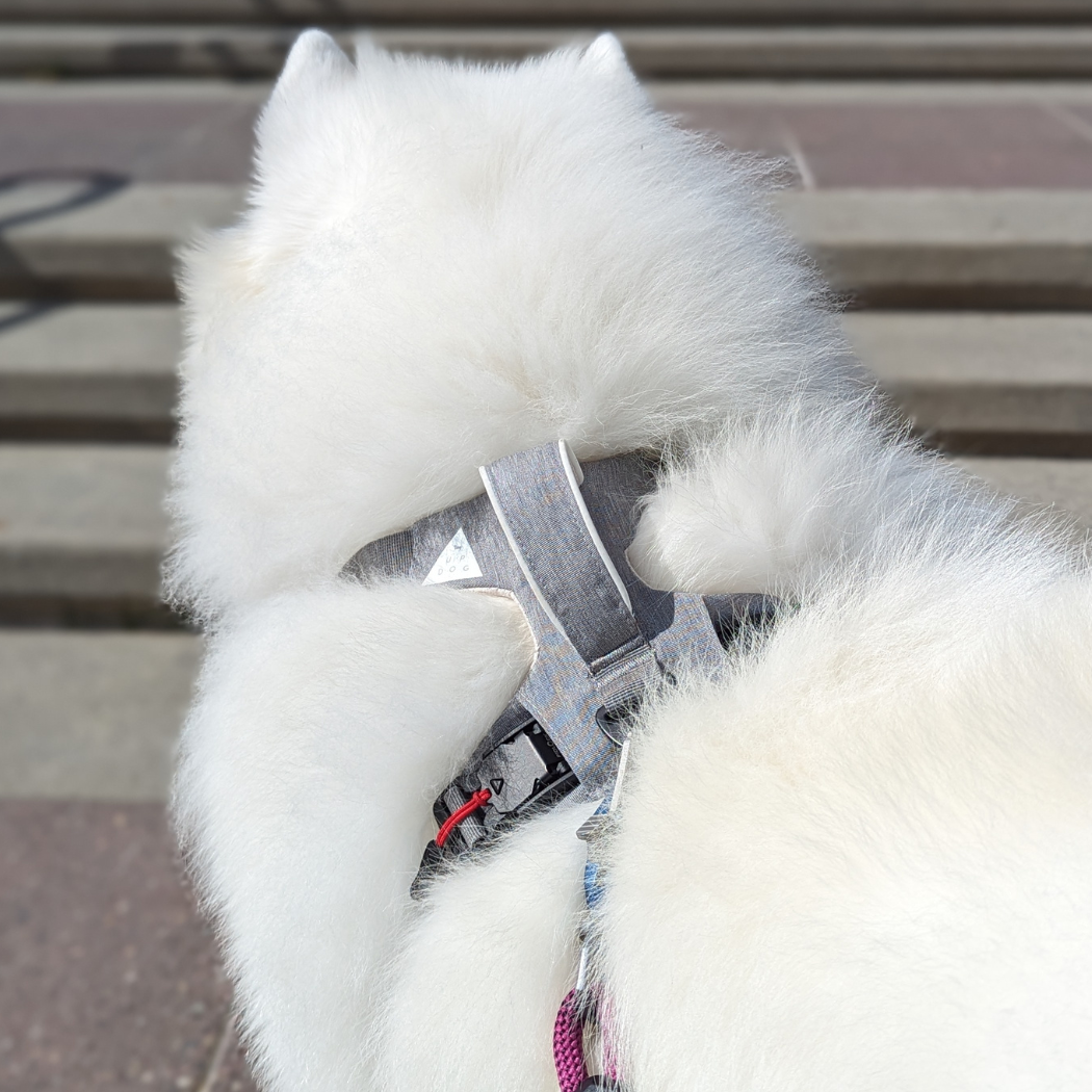 Magnetic no-pull dog harness with handle