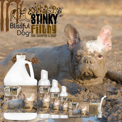 Stinky Filthy deodorizing dog shampoo