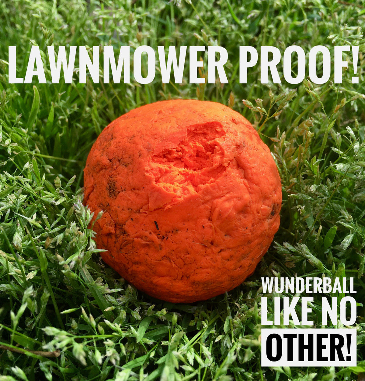 WUNDERball natural rubber fetch ball for dogs