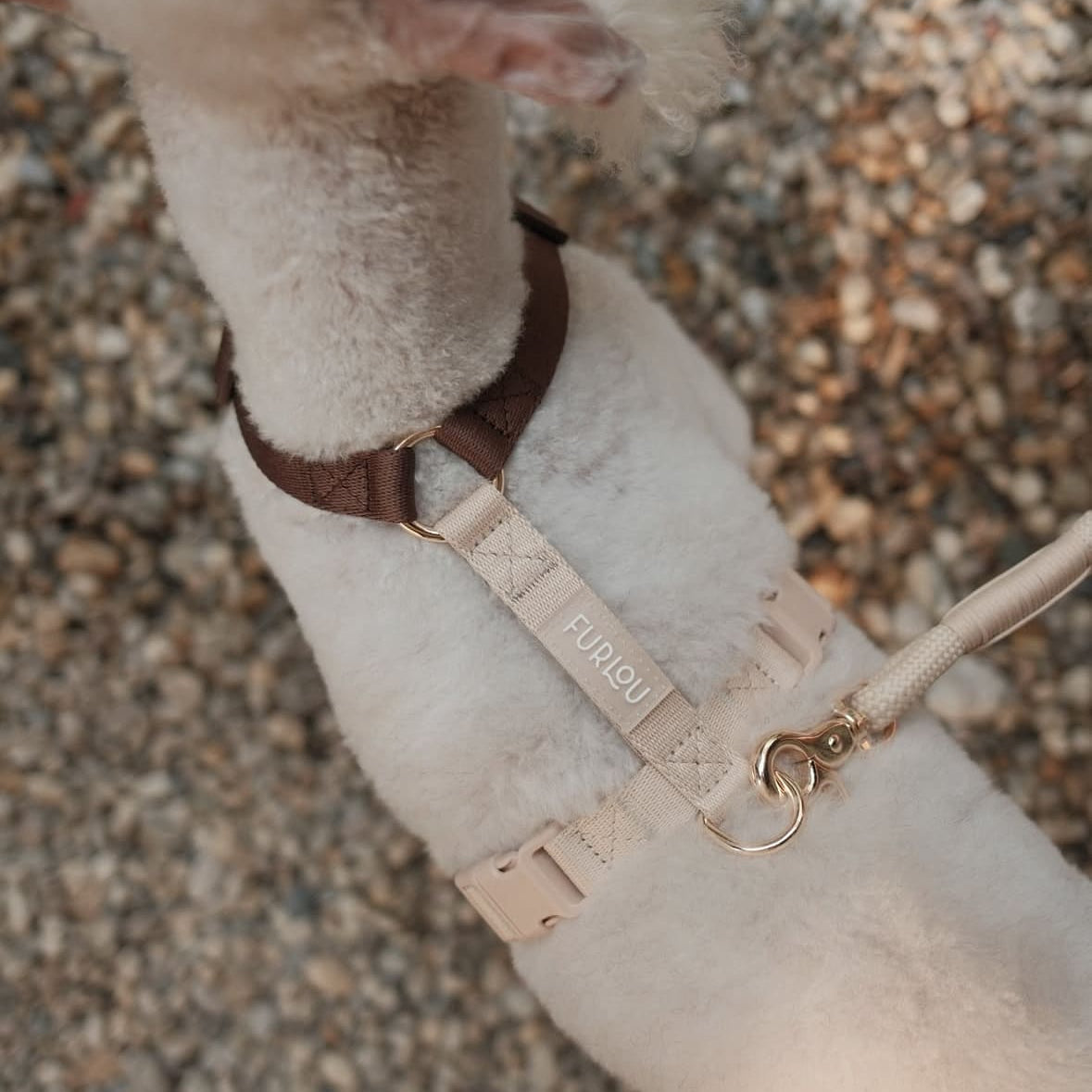 Adjustable strap dog harness in brown and tan