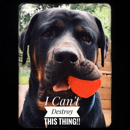 WUNDERball natural rubber fetch ball for dogs