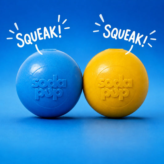 SodaPup durable squeaky ball dog toy