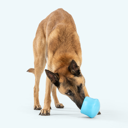 West Paw Toppl treat-dispensing puzzle toy for dogs