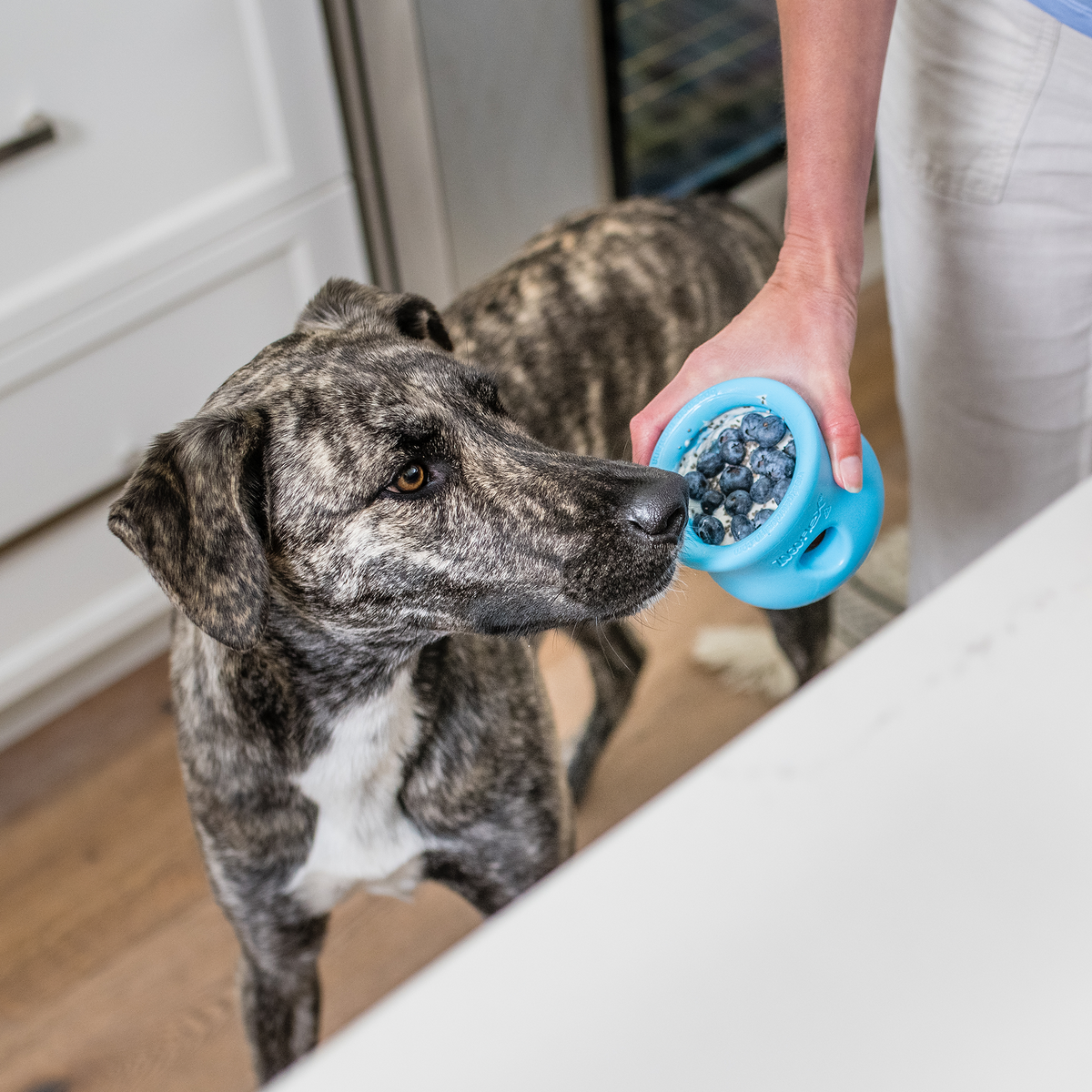 West Paw Toppl treat-dispensing puzzle toy for dogs