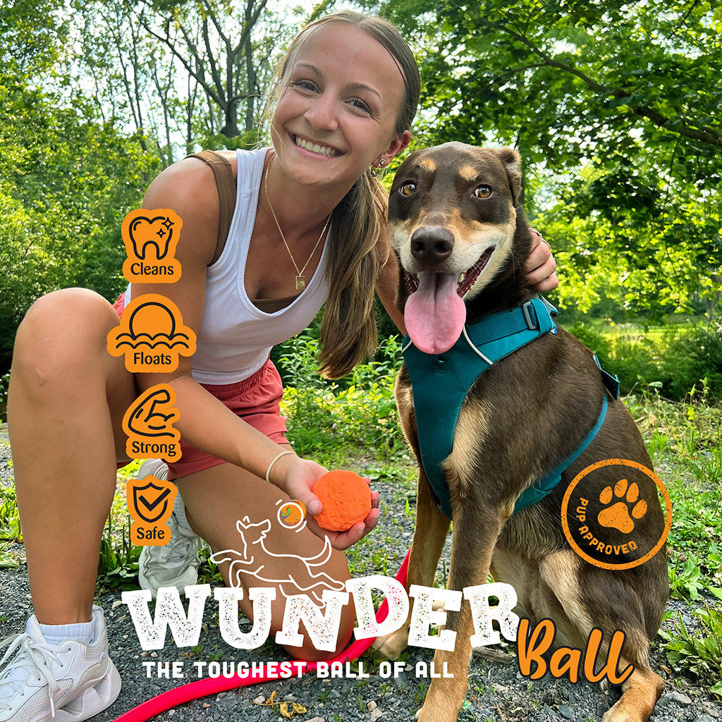 WUNDERball natural rubber fetch ball for dogs