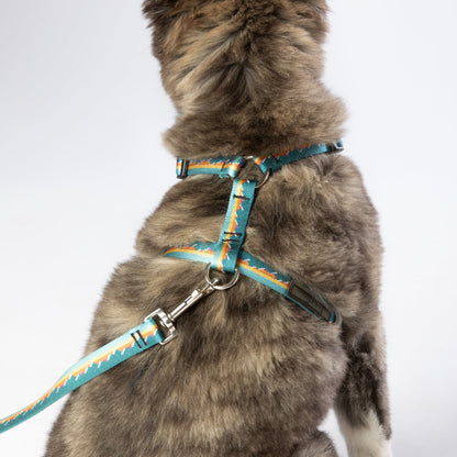Escape-proof dog harness