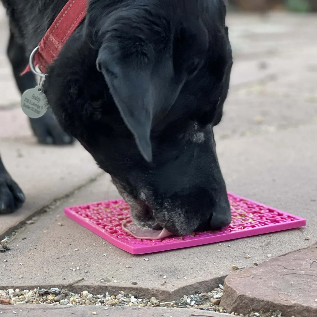 SodaPup jigsaw lick mat for dogs and cats